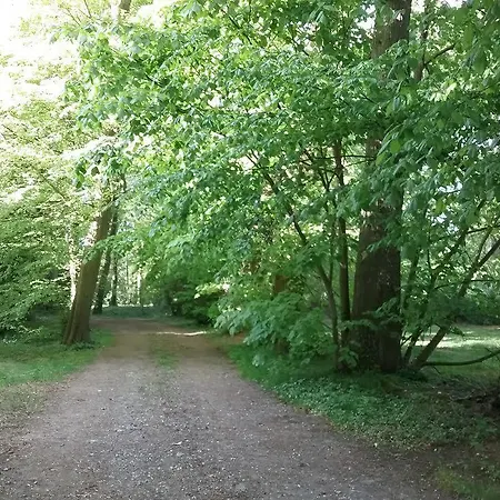 Chateau Des Marronniers B&B Baizieux